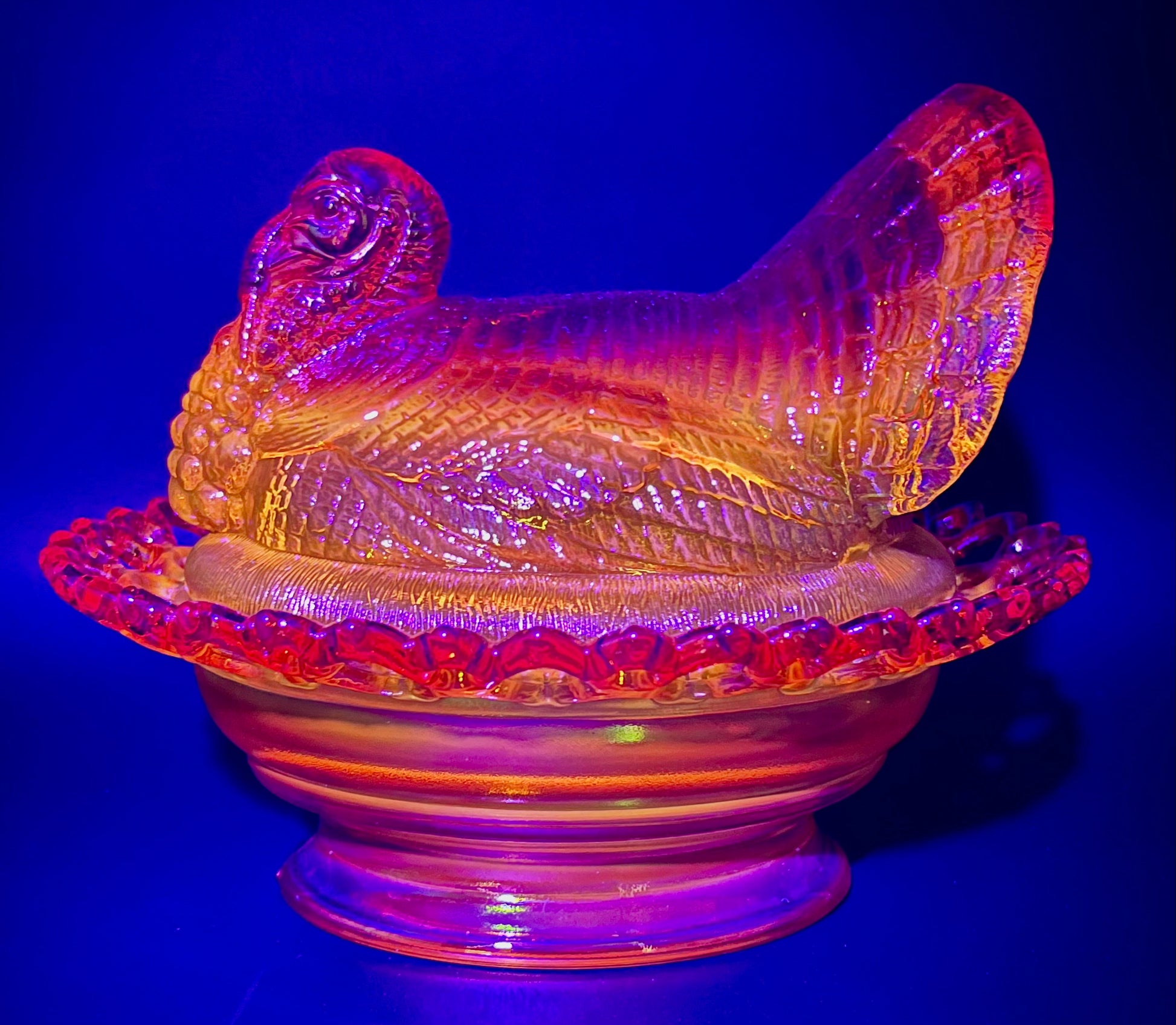 Mosser Marigold Turkey 8-1/2" Long by 7" Wide Holiday Centerpiece Cadmium Glows under UV Light