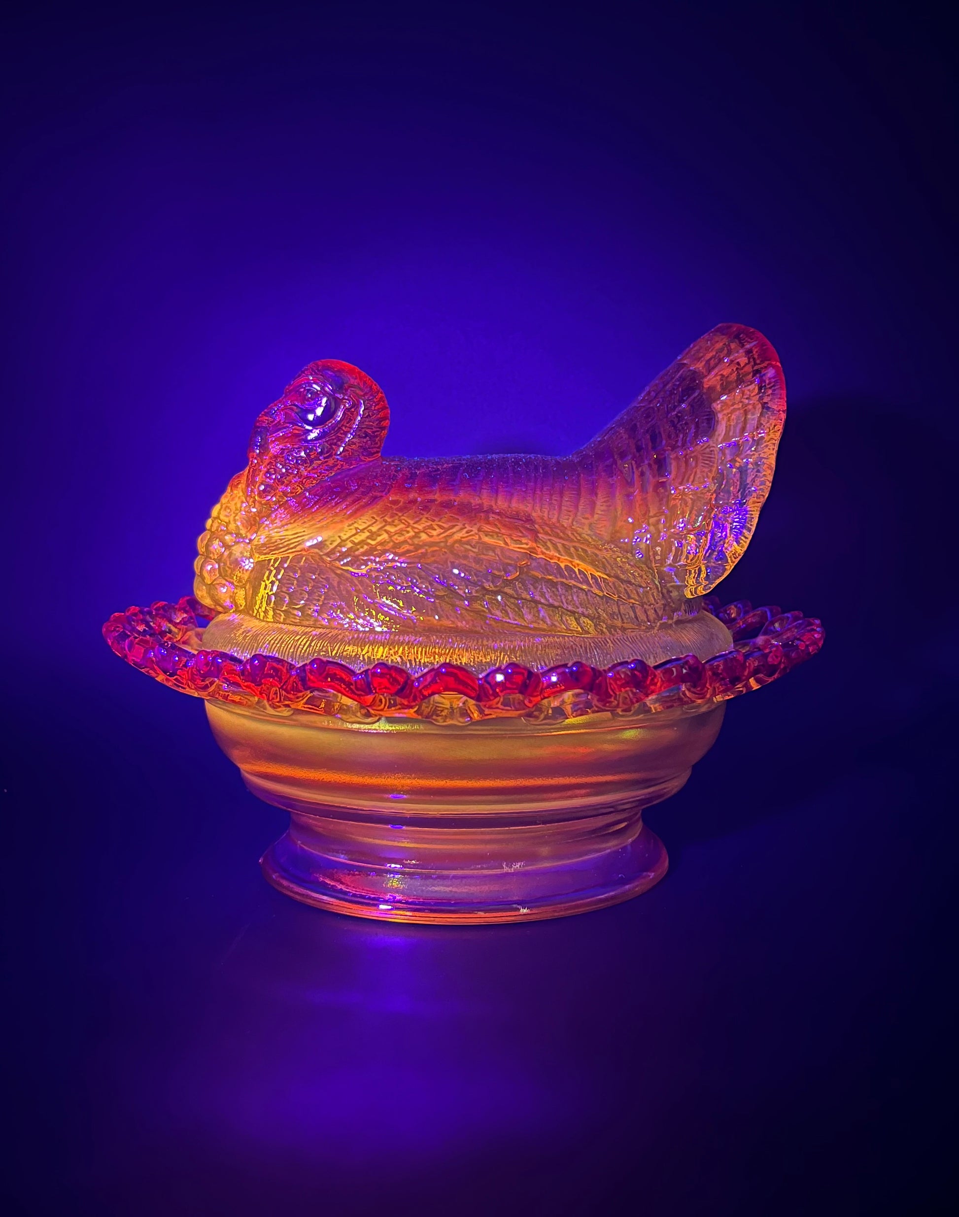 Mosser Marigold Turkey 8-1/2" Long by 7" Wide Holiday Centerpiece Cadmium Glows under UV Light